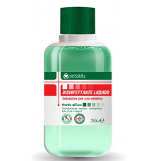 DISINFETTANTE LIQUIDO 250ML